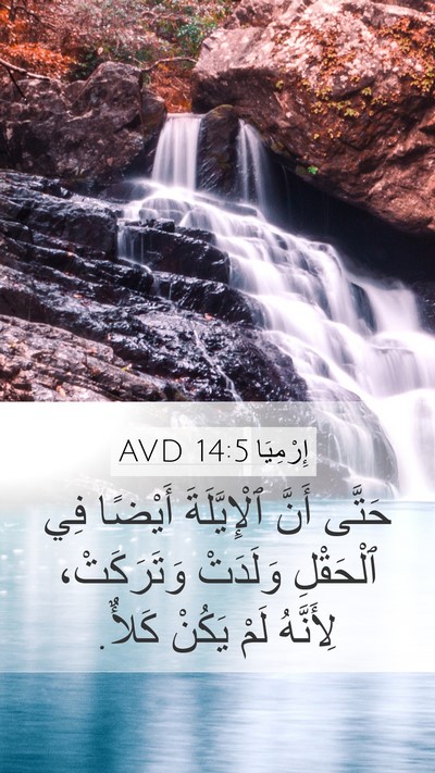 إِرْمِيَا 14:5 AVD Bible Verse Image