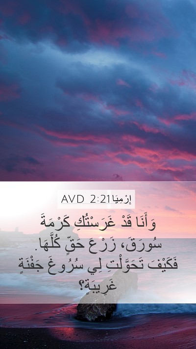 إِرْمِيَا 2:21 AVD Bible Verse Image
