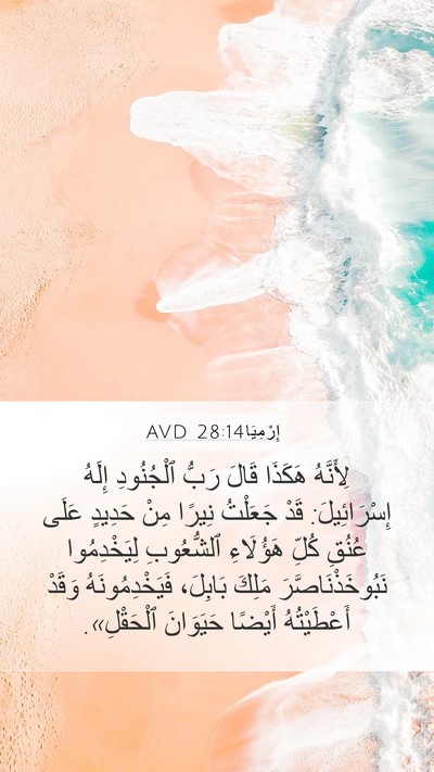 إِرْمِيَا 28:14 AVD Bible Verse Image