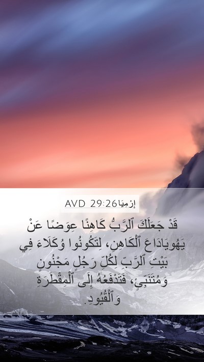 إِرْمِيَا 29:26 AVD Bible Verse Image