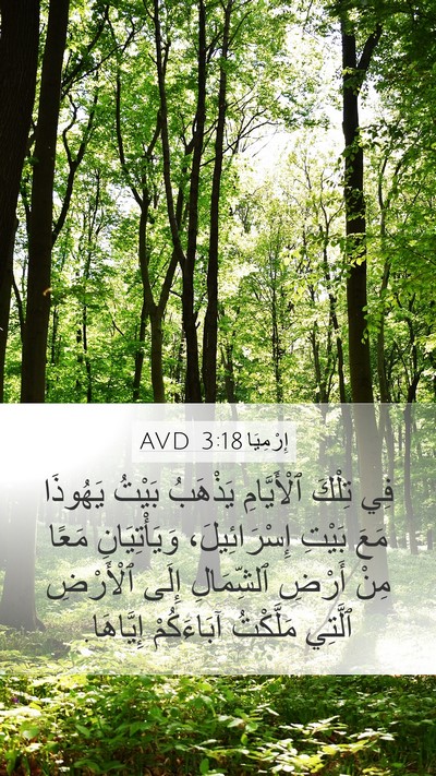 إِرْمِيَا 3:18 AVD Bible Verse Image