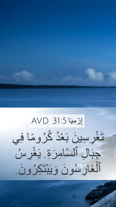 إِرْمِيَا 31:5 AVD Bible Verse Image