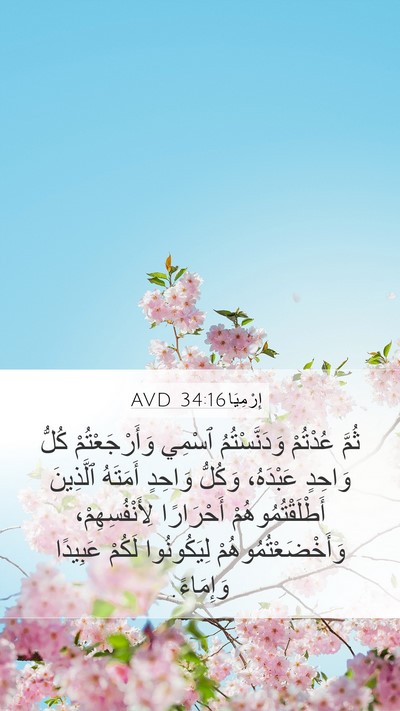إِرْمِيَا 34:16 AVD Bible Verse Image