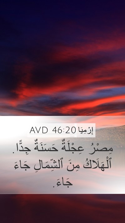 إِرْمِيَا 46:20 AVD Bible Verse Image