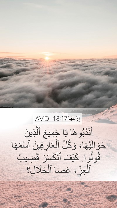 إِرْمِيَا 48:17 AVD Bible Verse Image