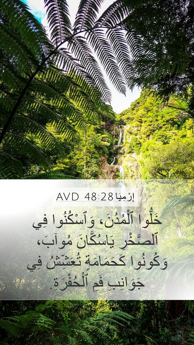 إِرْمِيَا 48:28 AVD Bible Verse Image