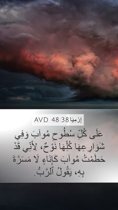 إِرْمِيَا 48:38 AVD Bible Verse Image