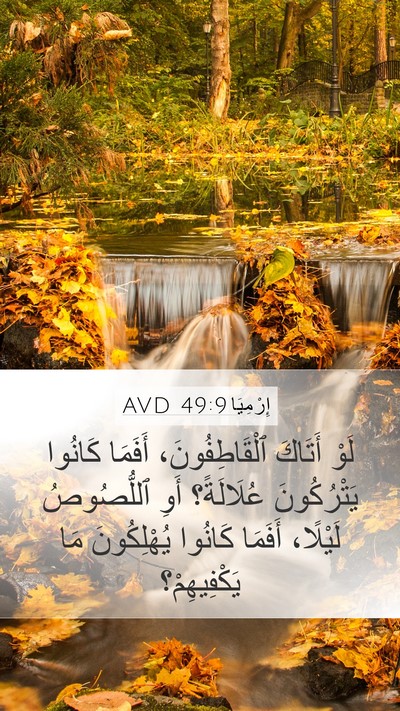 إِرْمِيَا 49:9 AVD Bible Verse Image