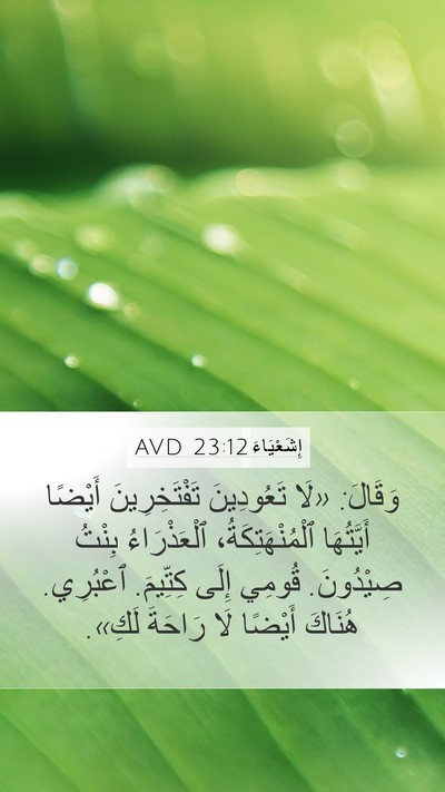 إِشَعْيَاءَ 23:12 AVD Bible Verse Image