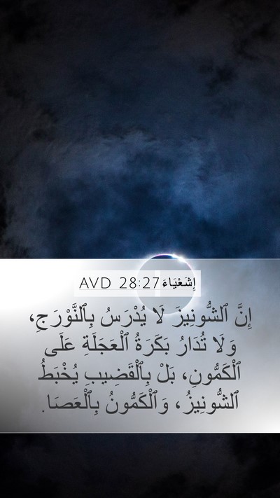 إِشَعْيَاءَ 28:27 AVD Bible Verse Image