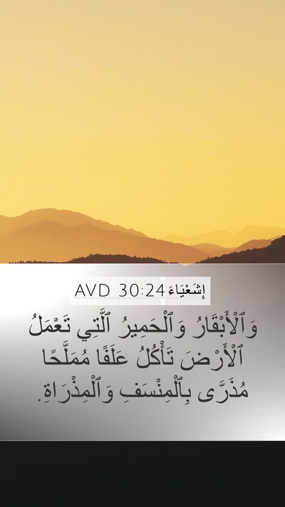 إِشَعْيَاءَ 30:24 AVD Bible Verse Image