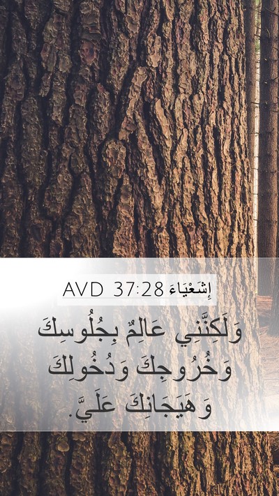 إِشَعْيَاءَ 37:28 AVD Bible Verse Image