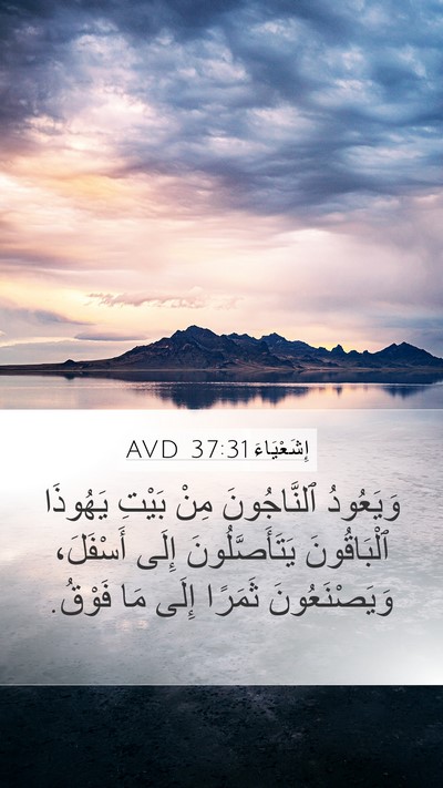 إِشَعْيَاءَ 37:31 AVD Bible Verse Image