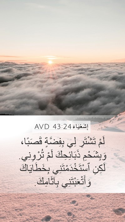 إِشَعْيَاءَ 43:24 AVD Bible Verse Image