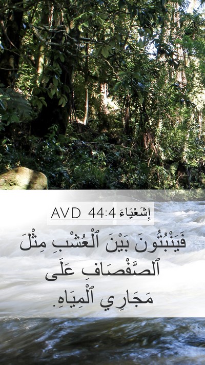 إِشَعْيَاءَ 44:4 AVD Bible Verse Image