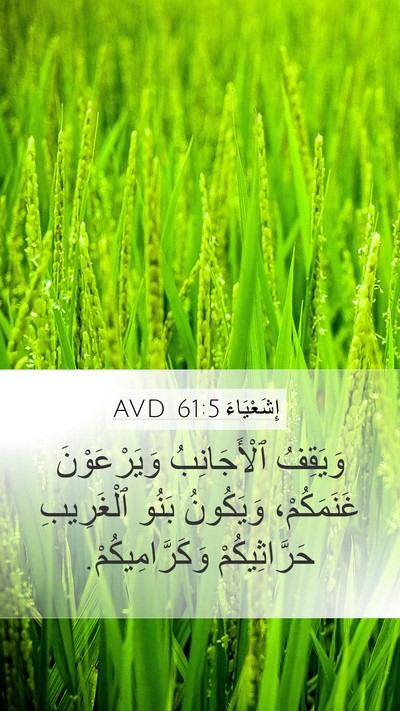 إِشَعْيَاءَ 61:5 AVD Bible Verse Image