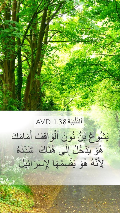اَلتَّثْنِيَة 1:38 AVD Bible Verse Image