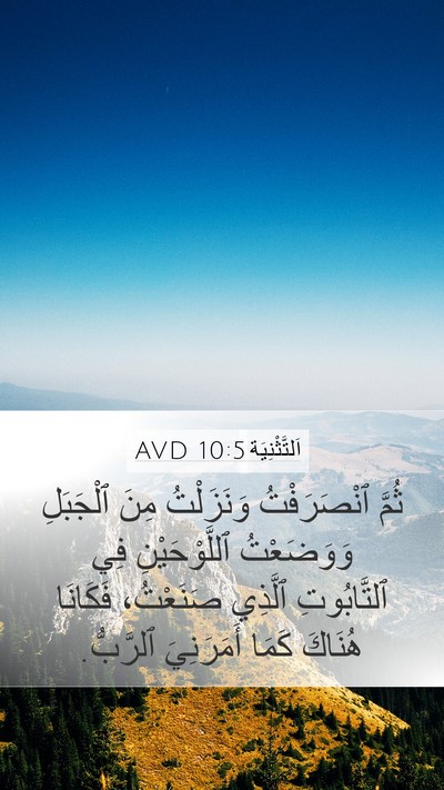 اَلتَّثْنِيَة 10:5 AVD Bible Verse Image