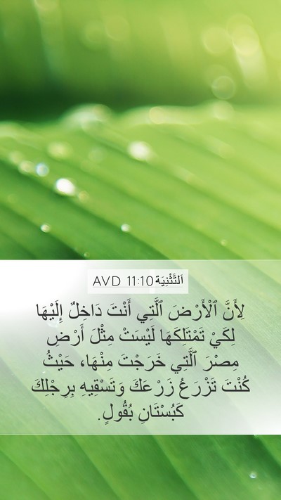 اَلتَّثْنِيَة 11:10 AVD Bible Verse Image