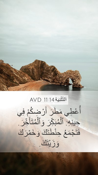 اَلتَّثْنِيَة 11:14 AVD Bible Verse Image