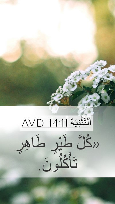 اَلتَّثْنِيَة 14:11 AVD Mobile Phone Wallpaper - «كُلَّ طَيْرٍ طَاهِرٍ - Mobile Bible Verse Wallpaper