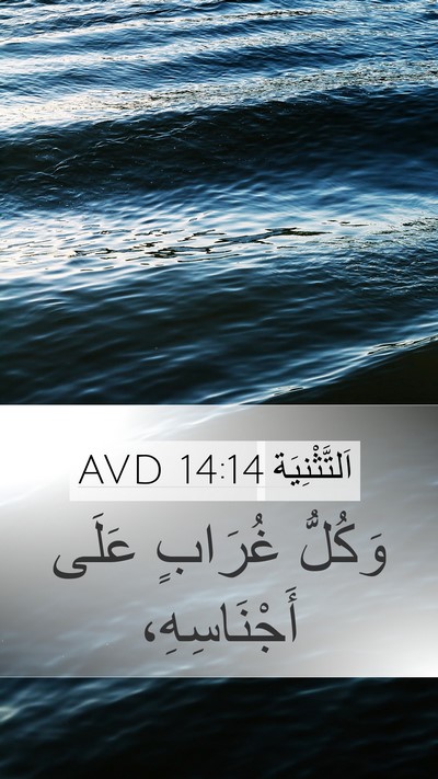 اَلتَّثْنِيَة 14:14 AVD Mobile Phone Wallpaper - وَكُلُّ غُرَابٍ عَلَى - Mobile Bible Verse Wallpaper