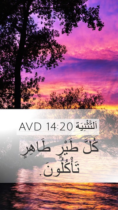 اَلتَّثْنِيَة 14:20 AVD Mobile Phone Wallpaper - كُلَّ طَيْرٍ طَاهِرٍ - Mobile Bible Verse Wallpaper