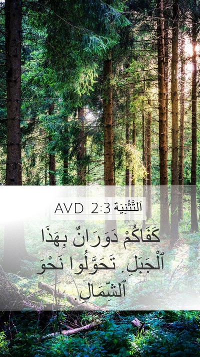 اَلتَّثْنِيَة 2:3 AVD Bible Verse Image