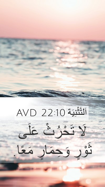 اَلتَّثْنِيَة 22:10 AVD Mobile Phone Wallpaper - لَا تَحْرُثْ عَلَى ثَوْرٍ - Mobile Bible Verse Wallpaper
