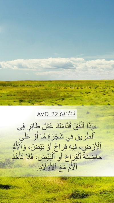 اَلتَّثْنِيَة 22:6 AVD Mobile Phone Wallpaper - «إِذَا ٱتَّفَقَ - Mobile Bible Verse Wallpaper