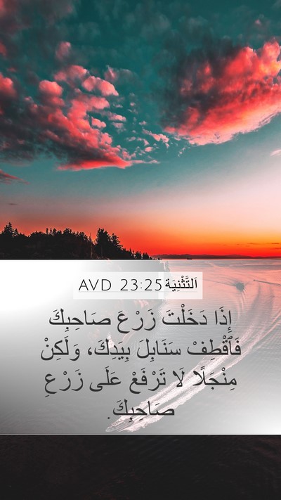 اَلتَّثْنِيَة 23:25 AVD Bible Verse Image