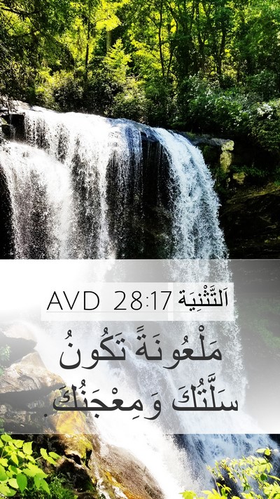 اَلتَّثْنِيَة 28:17 AVD Mobile Phone Wallpaper - مَلْعُونَةً تَكُونُ - Mobile Bible Verse Wallpaper