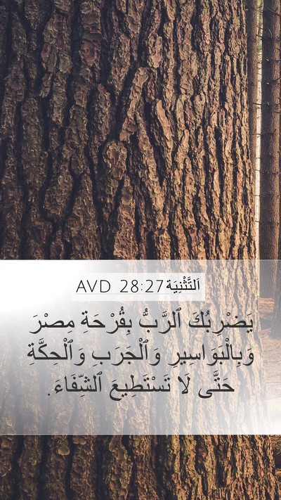 اَلتَّثْنِيَة 28:27 AVD Bible Verse Image