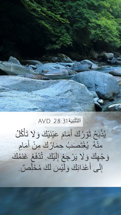 اَلتَّثْنِيَة 28:31 AVD Bible Verse Image