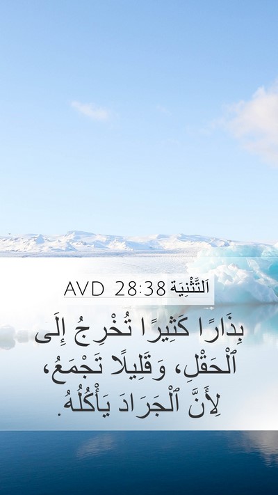 اَلتَّثْنِيَة 28:38 AVD Bible Verse Image