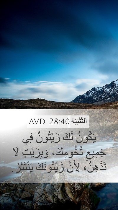 اَلتَّثْنِيَة 28:40 AVD Bible Verse Image