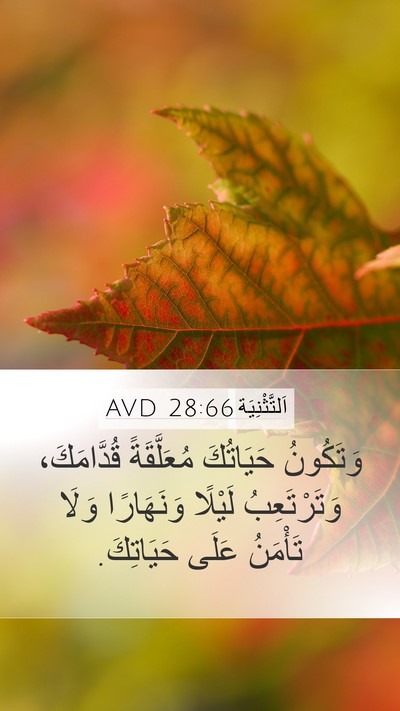 اَلتَّثْنِيَة 28:66 AVD Bible Verse Image
