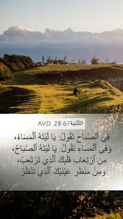 اَلتَّثْنِيَة 28:67 AVD Bible Verse Image
