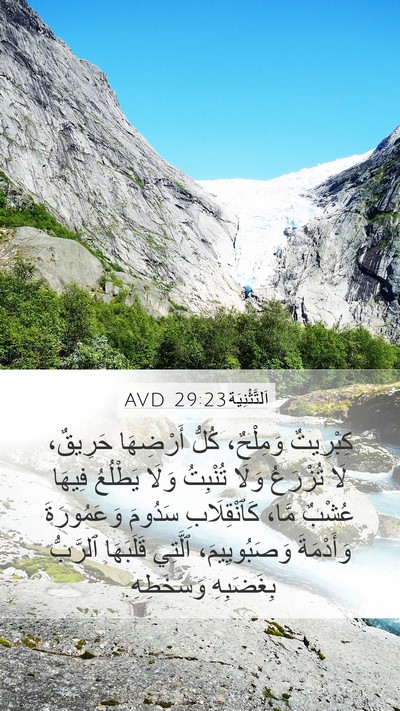 اَلتَّثْنِيَة 29:23 AVD Bible Verse Image