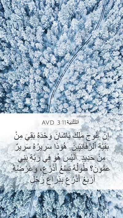 اَلتَّثْنِيَة 3:11 AVD Bible Verse Image