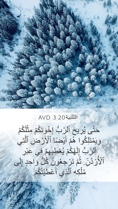 اَلتَّثْنِيَة 3:20 AVD Bible Verse Image