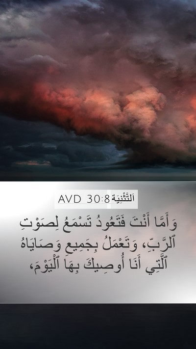 اَلتَّثْنِيَة 30:8 AVD Mobile Phone Wallpaper - وَأَمَّا أَنْتَ فَتَعُودُ - Mobile Bible Verse Wallpaper
