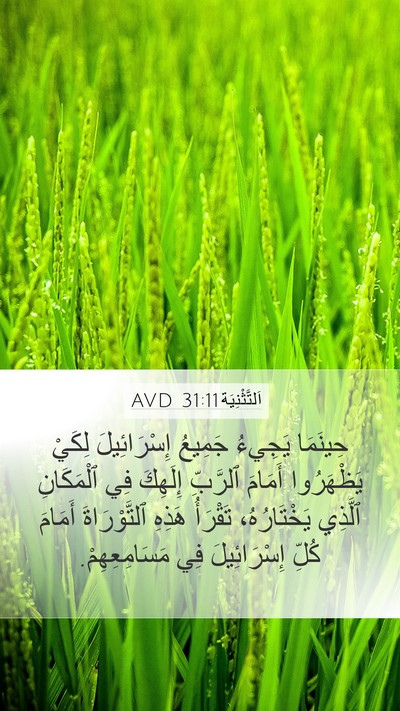 اَلتَّثْنِيَة 31:11 AVD Mobile Phone Wallpaper - حِينَمَا يَجِيءُ جَمِيعُ - Mobile Bible Verse Wallpaper