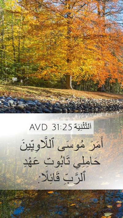 اَلتَّثْنِيَة 31:25 AVD Bible Verse Image