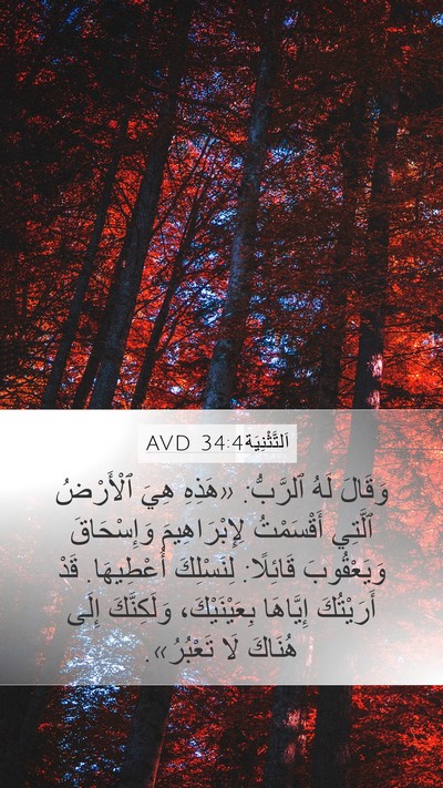 اَلتَّثْنِيَة 34:4 AVD Bible Verse Image