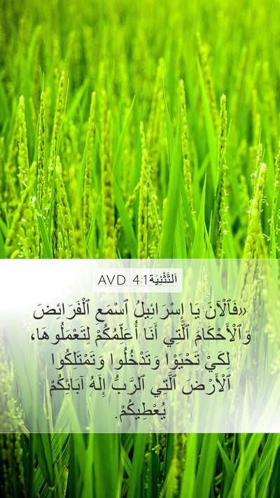 اَلتَّثْنِيَة 4:1 AVD Bible Verse Image