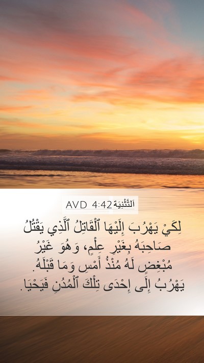 اَلتَّثْنِيَة 4:42 AVD Bible Verse Image