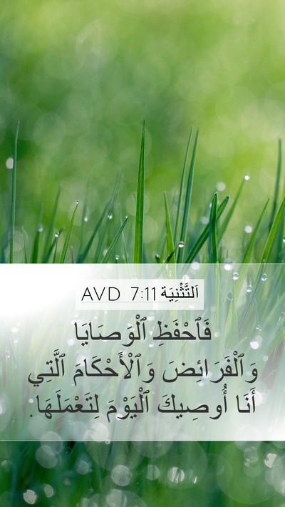 اَلتَّثْنِيَة 7:11 AVD Mobile Phone Wallpaper - فَٱحْفَظِ ٱلْوَصَايَا - Mobile Bible Verse Wallpaper