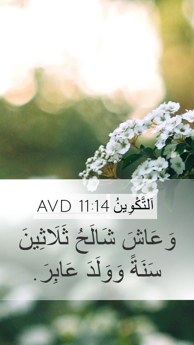 اَلتَّكْوِينُ 11:14 AVD Mobile Phone Wallpaper - وَعَاشَ شَالَحُ - Mobile Bible Verse Wallpaper