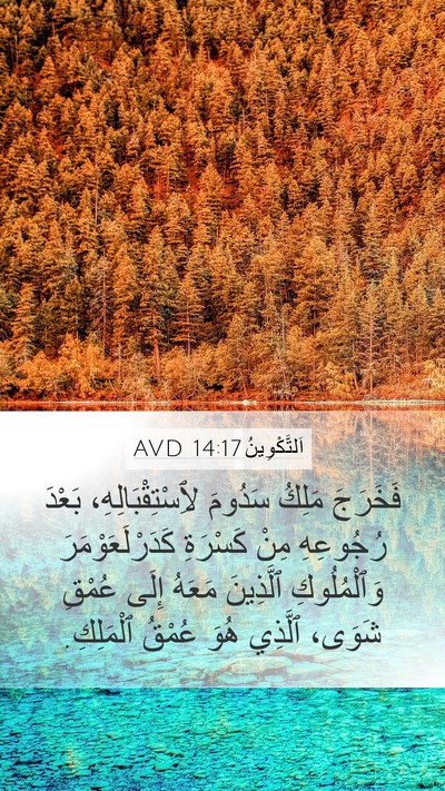 اَلتَّكْوِينُ 14:17 AVD Bible Verse Image
